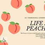 Timberhill Commens