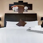 Pong - A Birdy Vacation Rental