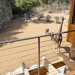 San Antonio Zoo - Spekboom Giraffe Lodge