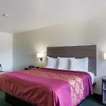 Oyo Inn & Suites Medical Center San Antonio