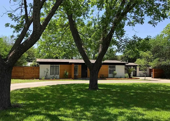 Mid Century Modern Beauty