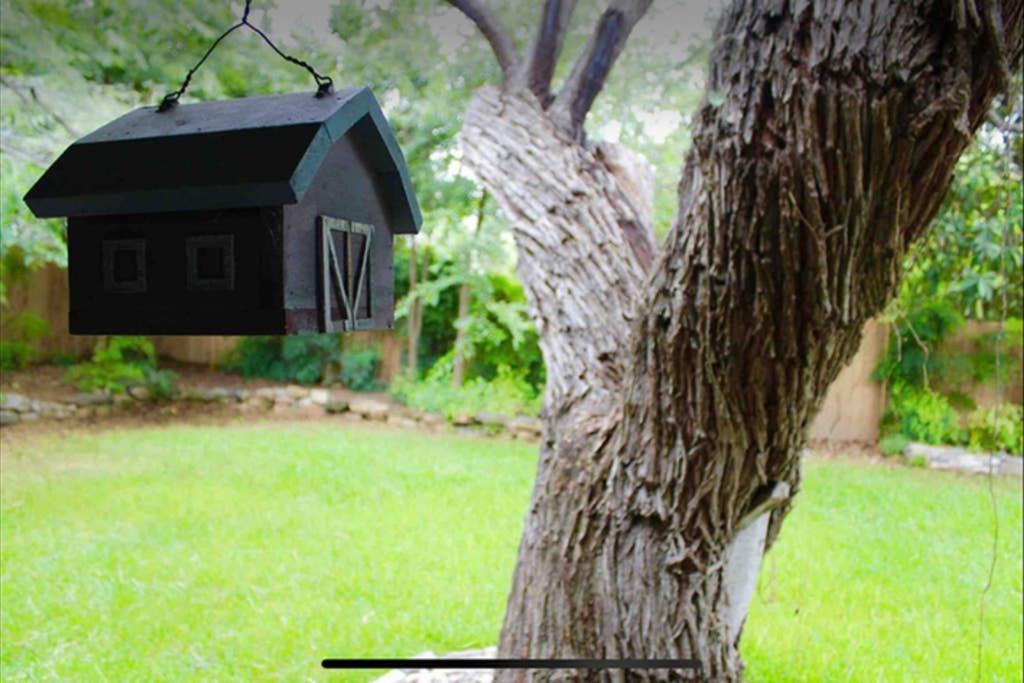 Cyc Lounge With Holiday home San Antonio