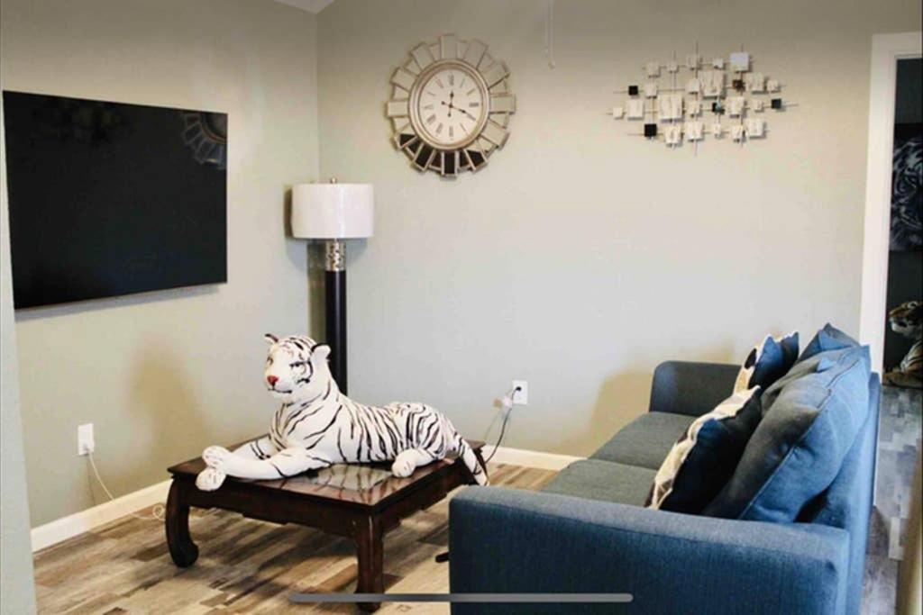 Cyc Lounge With Holiday home San Antonio