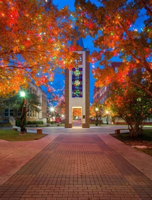 Pershing Place: Historic With Heated Spa/pool By Zoo, Pearl, Golf, Witte San Antonio