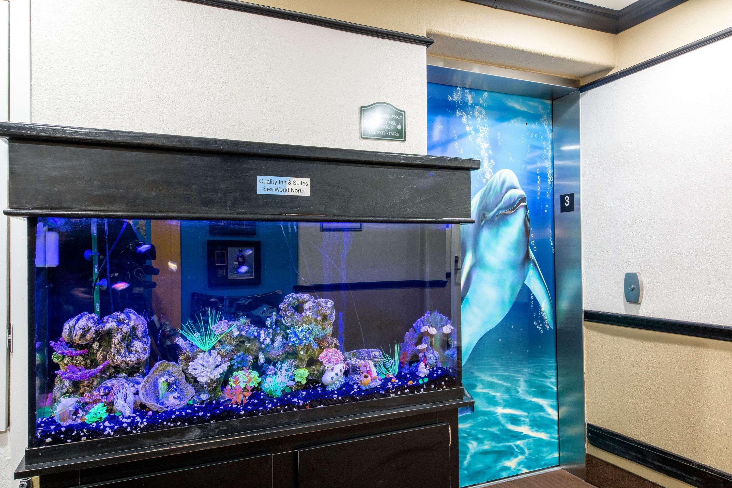 Hotel Quality & Seaworld North San Antonio