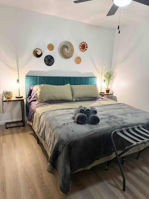 Apartment Downtown Sa Cozy & 2 Bedroom