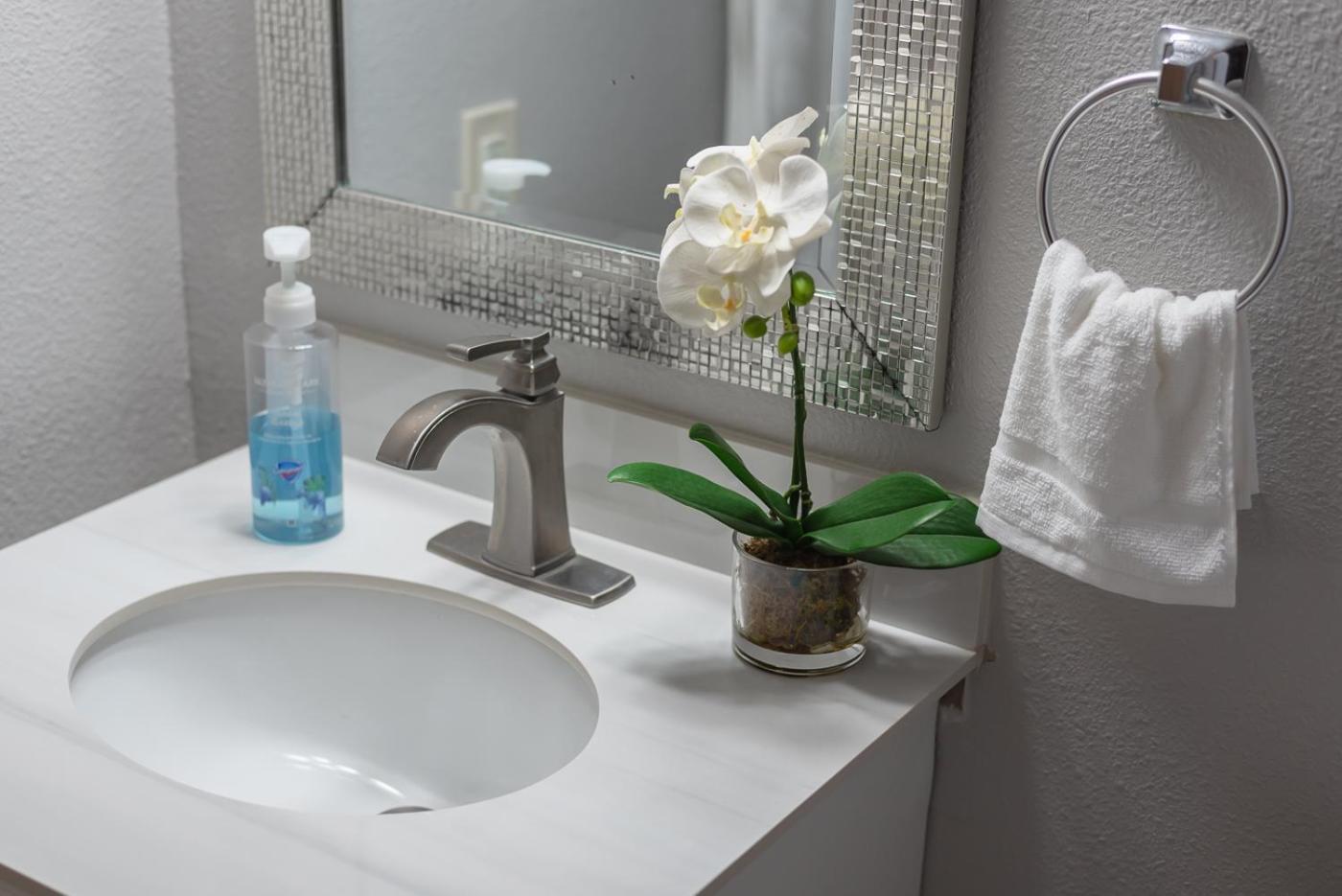 Beautiful At The Botanical Gardens #1 Apartment