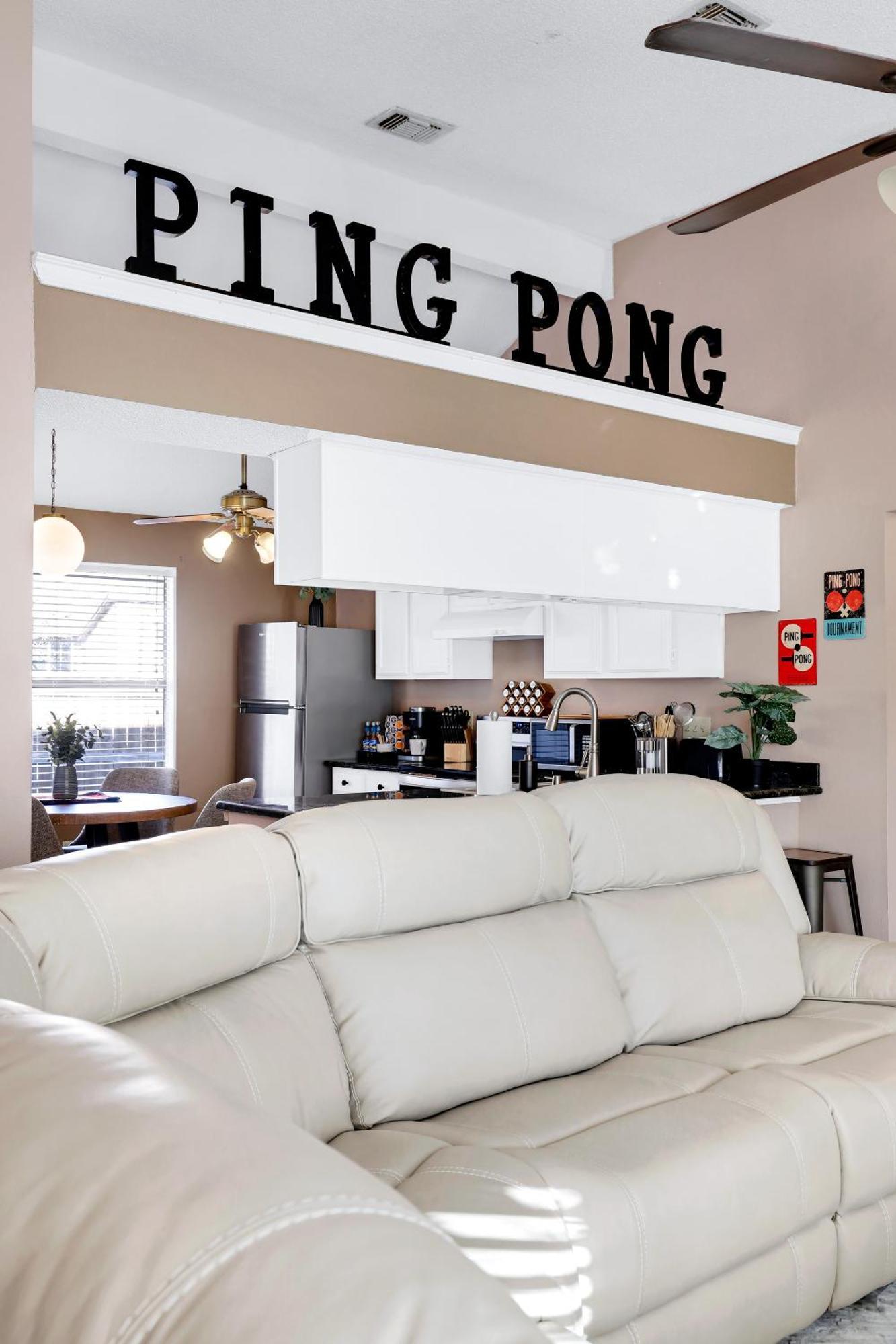 Pong - A Birdy Vacation San Antonio