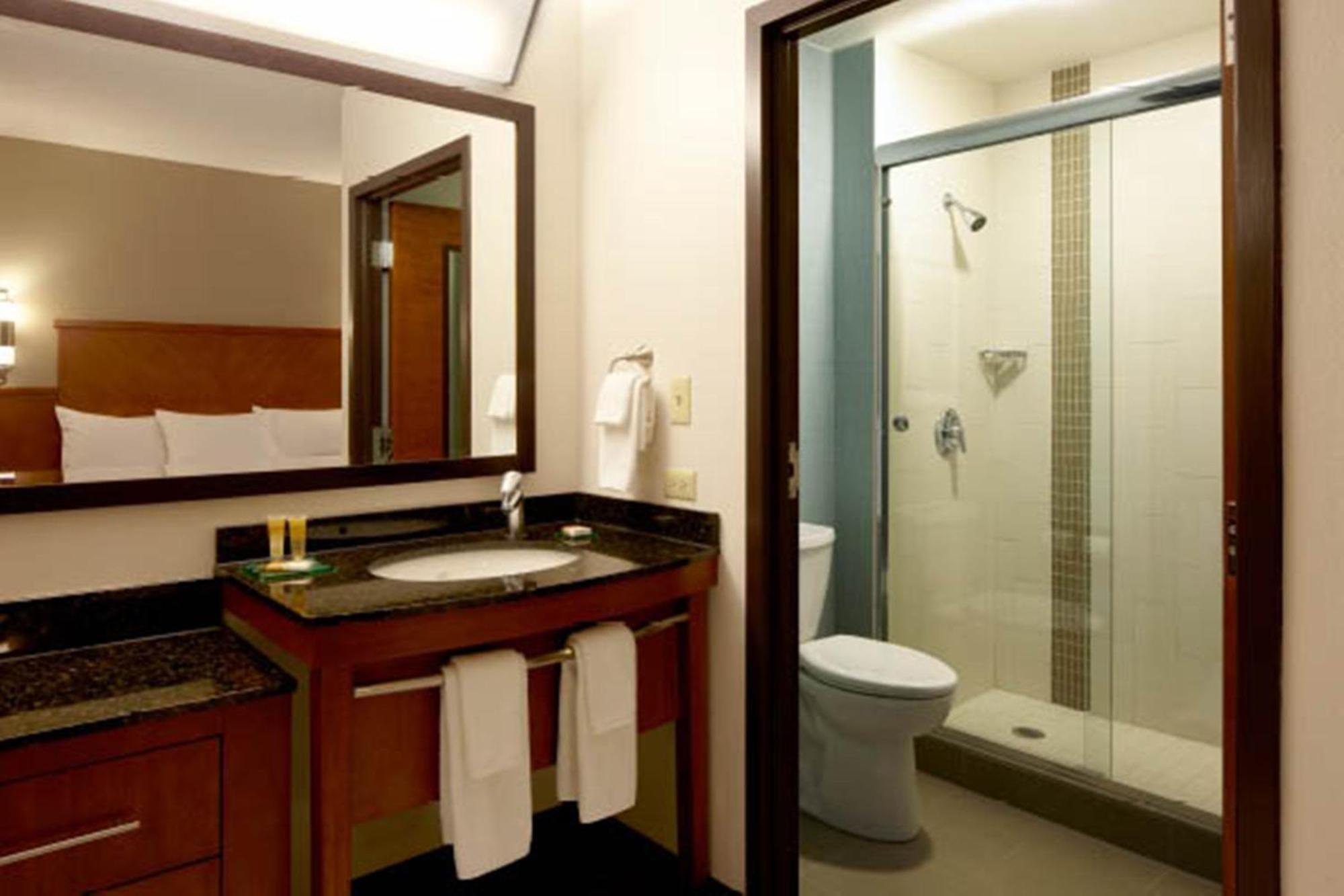 Hyatt Place Airport/quarry Market