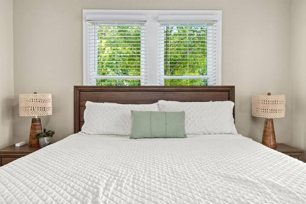 Downtown 5bdrm With Pool & Huge Outdoor Space San Antonio