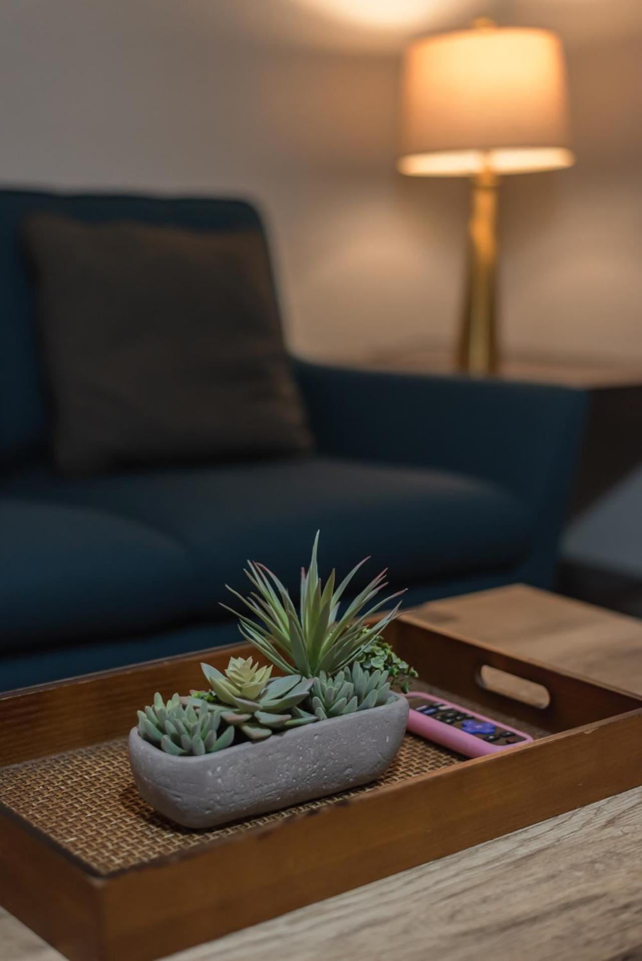 Beautiful At The Botanical Gardens #1 Apartment San Antonio