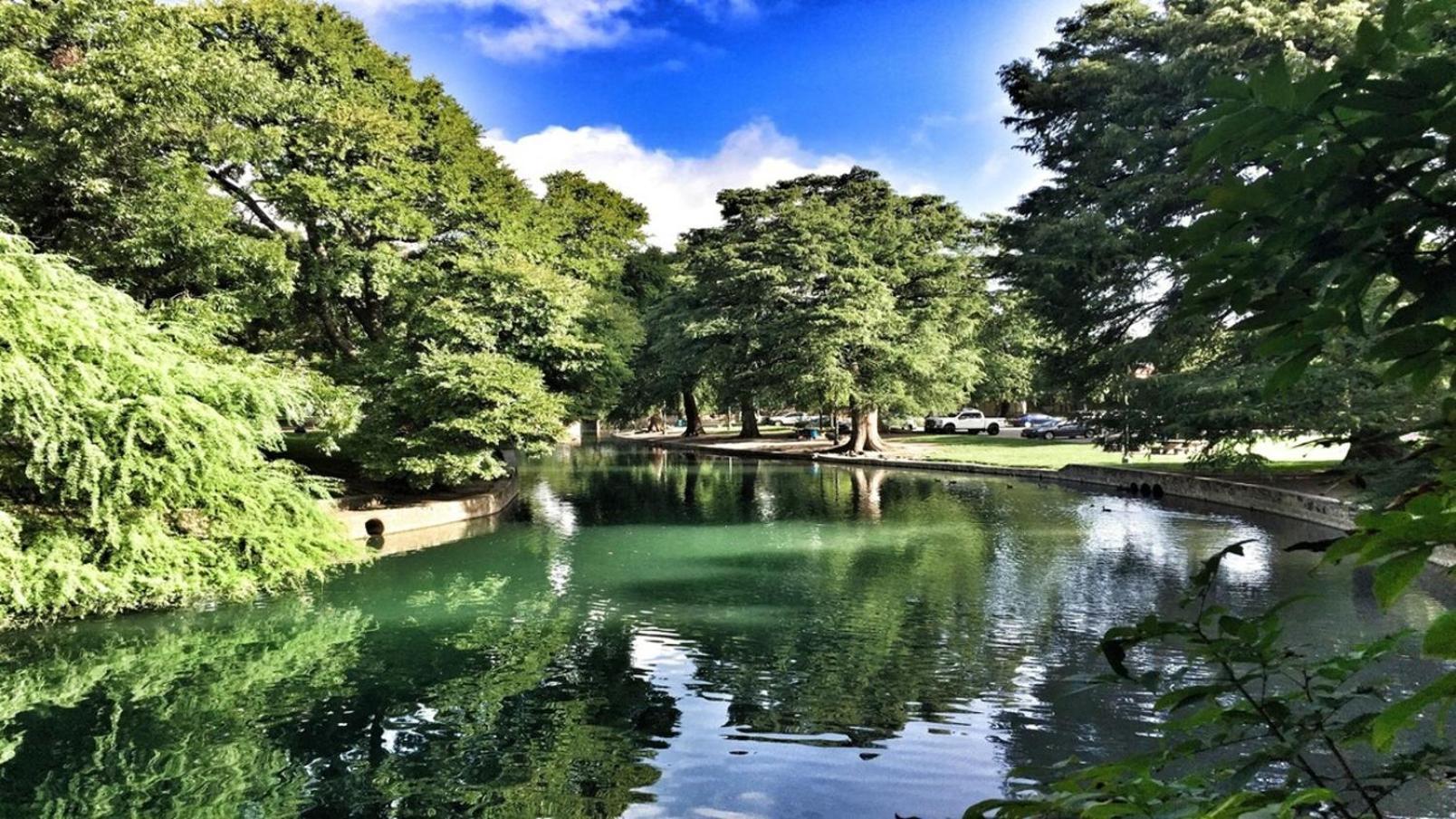 Beautiful At The Botanical Gardens #1 Apartment San Antonio