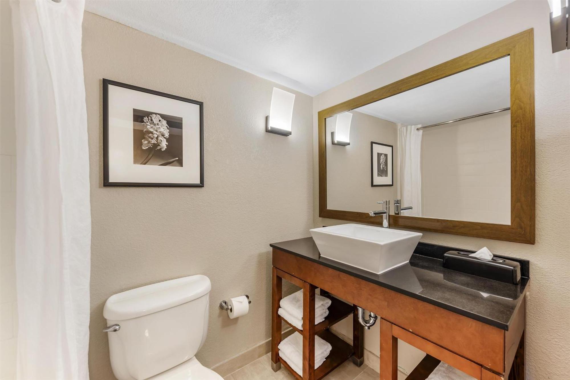 Hotel Western Alamo