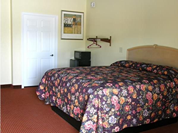 Matador Motel *