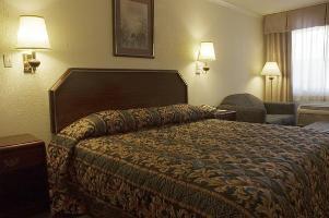 Best Western Garden Hotel 3*
