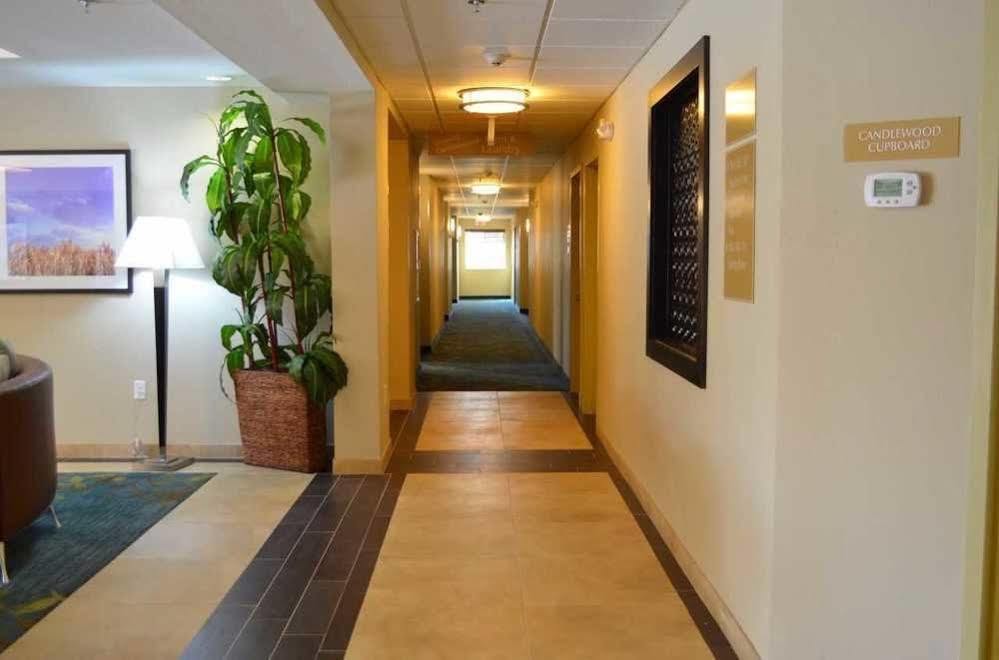 Candlewood Airport By Ihg Hotel