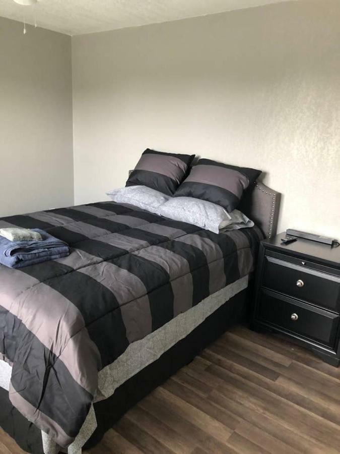 Downtown Contemporary Yet Cozy Fun San Antonio