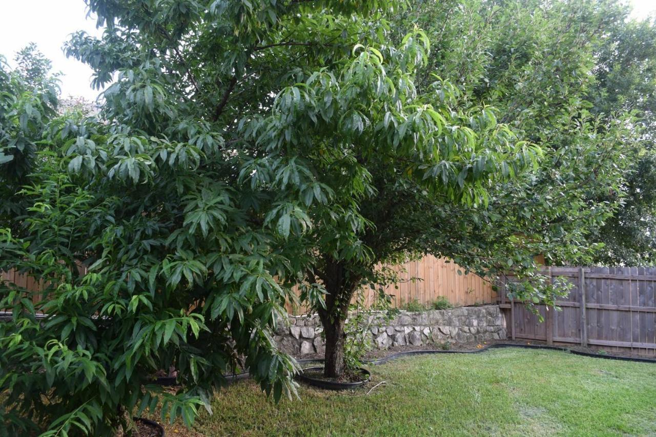 Holiday home Your Ideal Getaway Home! Close To Utsa & Six Flags *