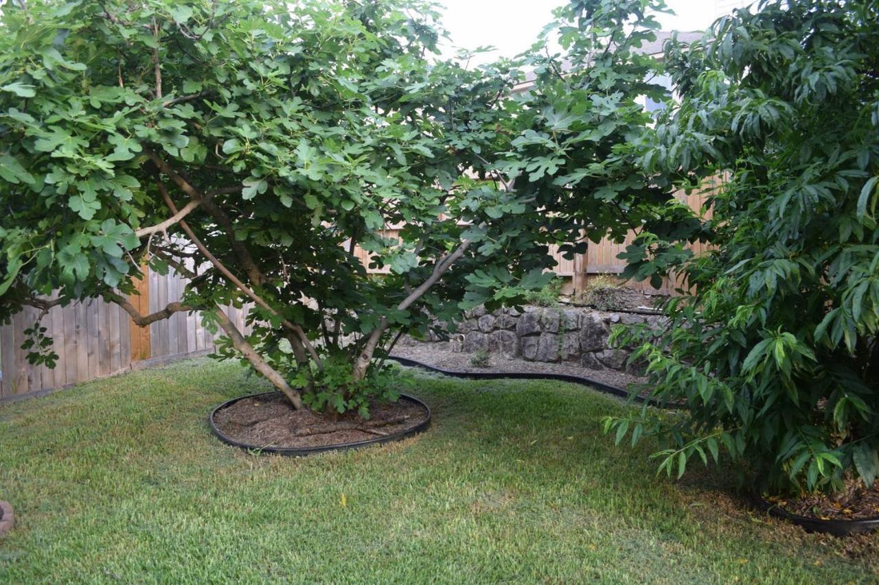 Holiday home Your Ideal Getaway Home! Close To Utsa & Six Flags San Antonio