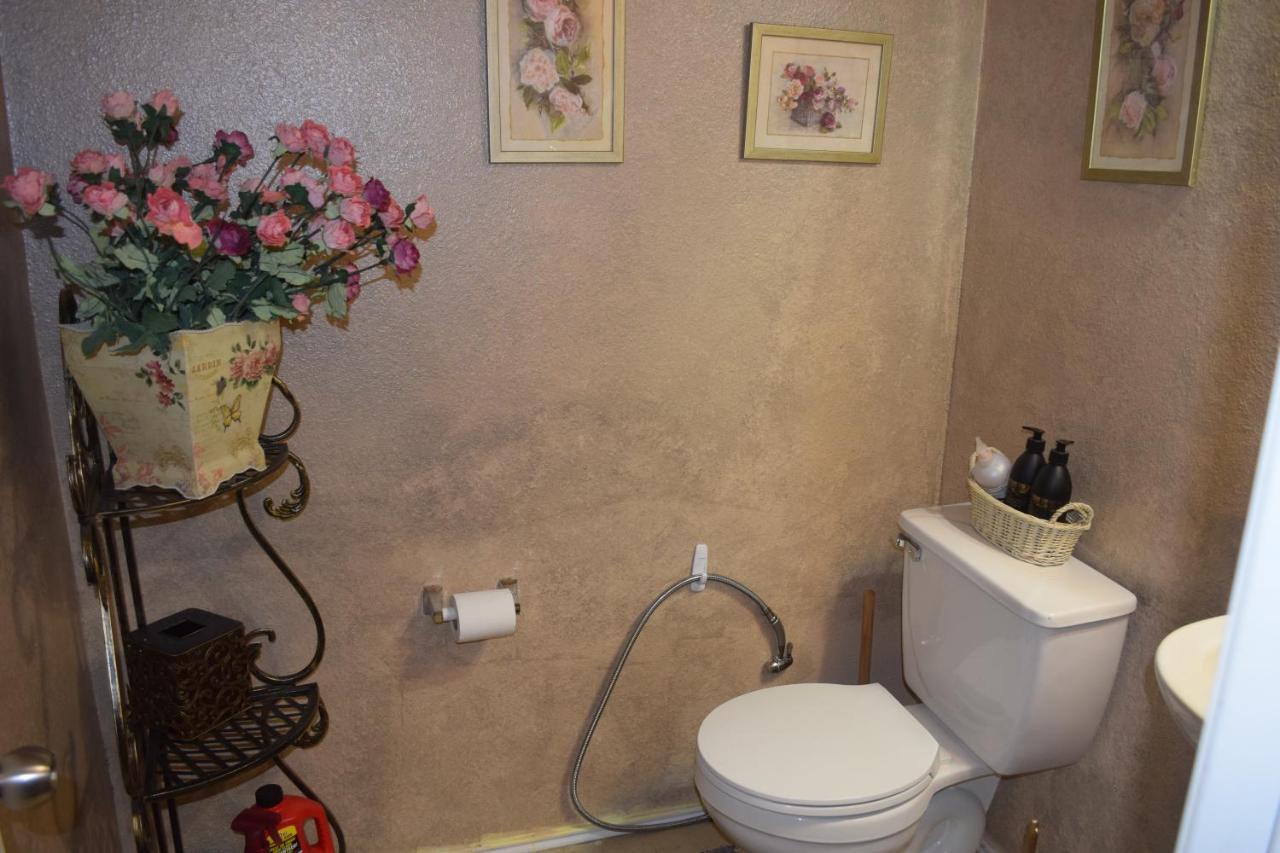 Your Ideal Getaway Home! Close To Utsa & Six Flags San Antonio