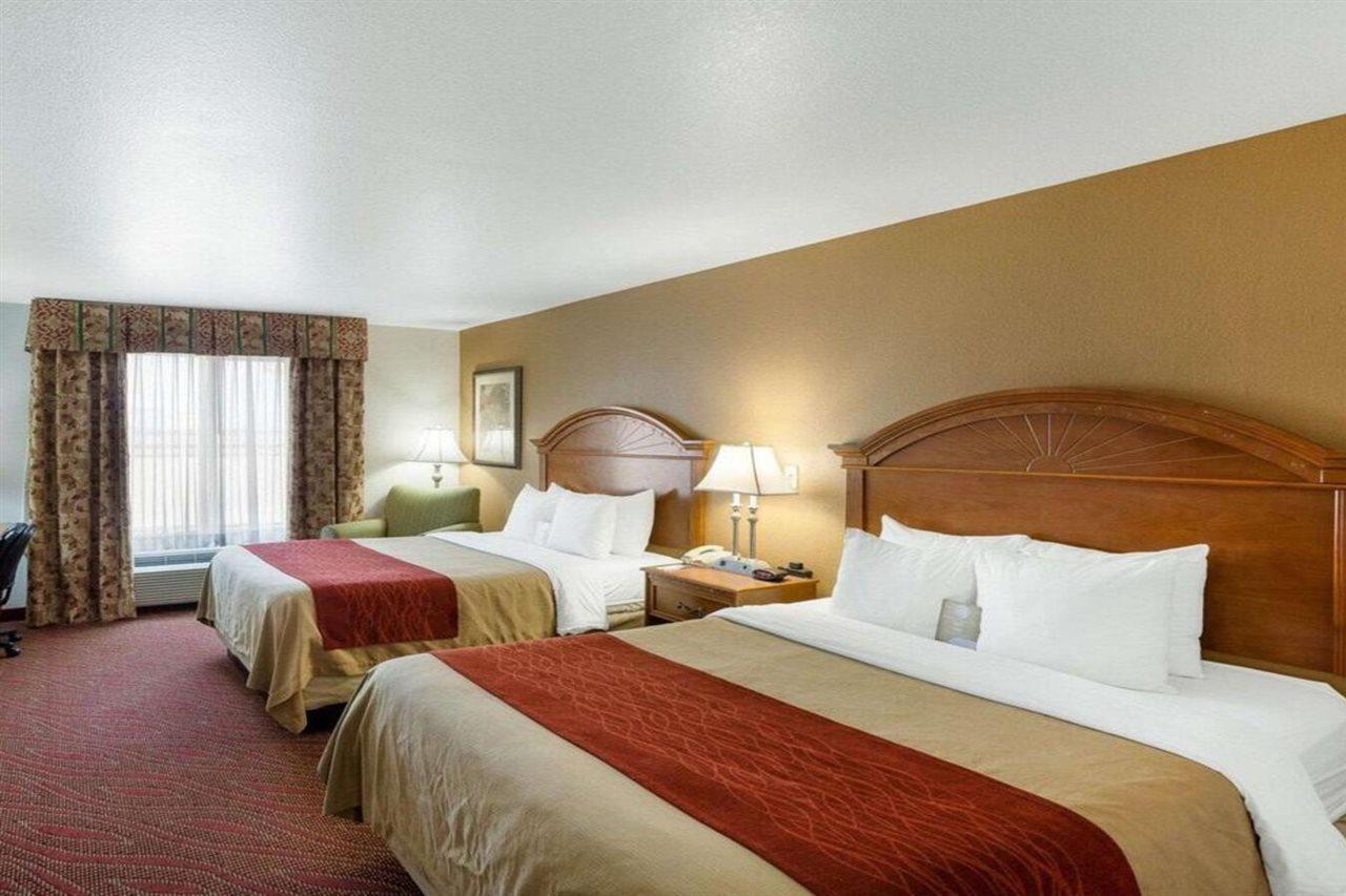 Comfort & Near Medical Center Hotel