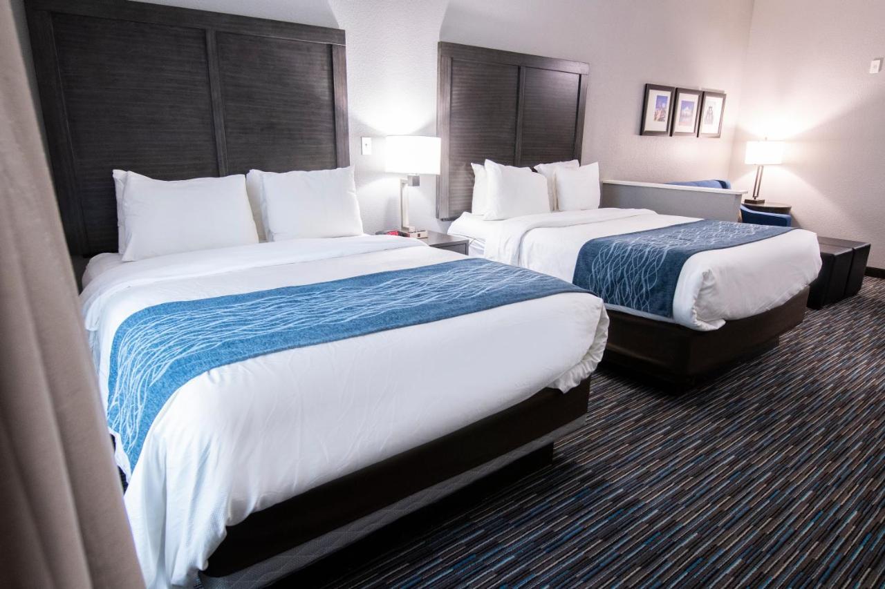 Comfort & Near Medical Center Hotel