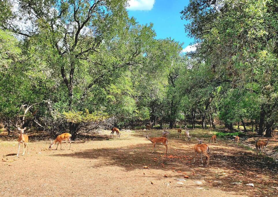 Elite Retreat At La Cantera, 6 Flags, The Rim, Utsa, Seaworld - Casa Glam Sa San Antonio