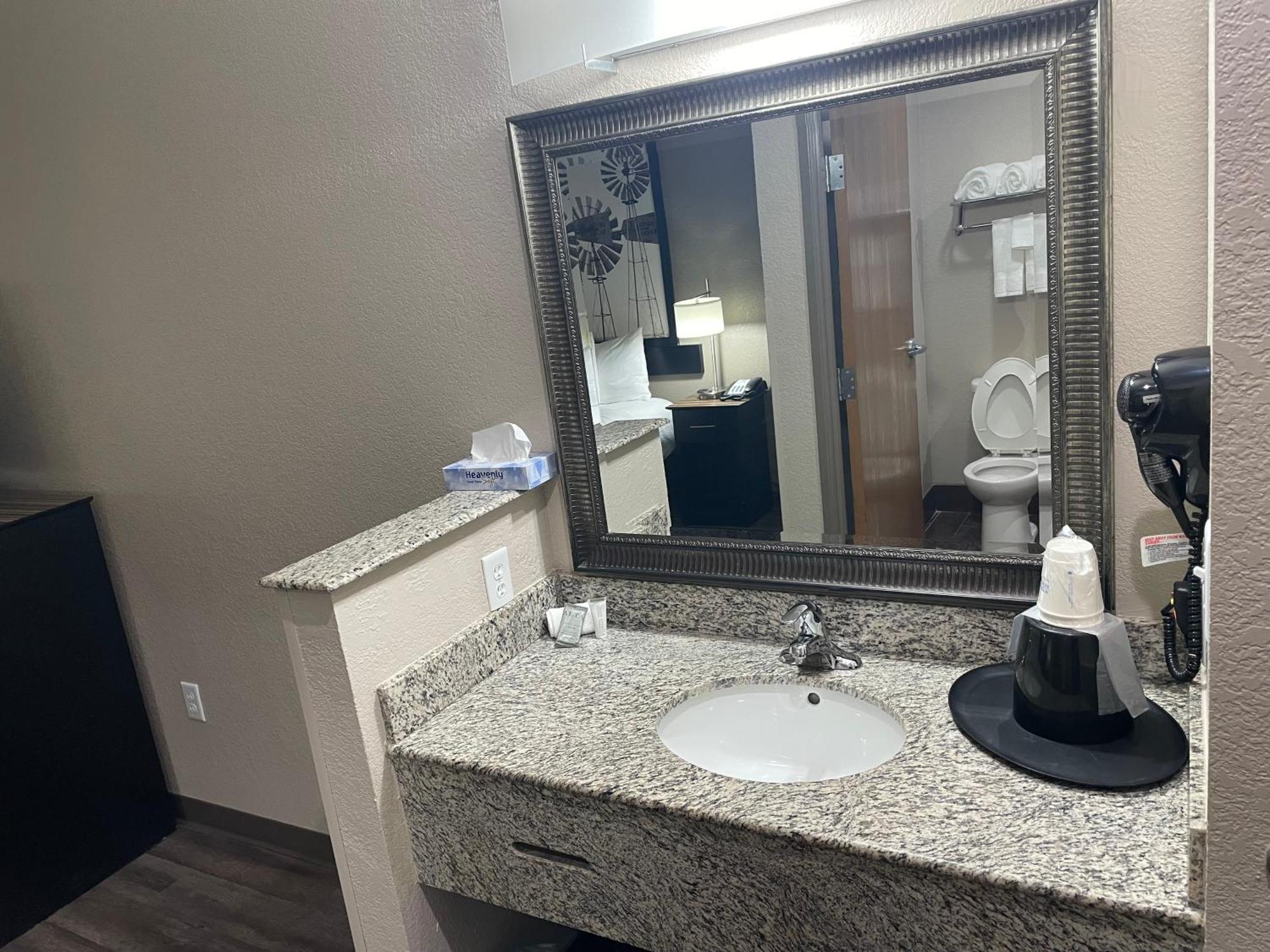 Hotel Super 8 By Wyndham San Antonio/alamodome Area