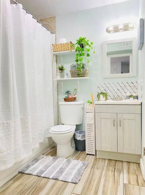 Lovely 2 Bedroom Hidden Gem At The Botanical Garden Unit 3 * San Antonio