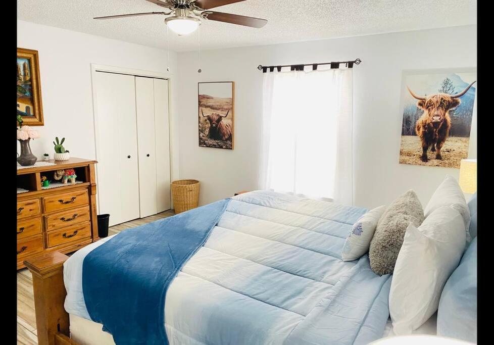 Lovely 2 Bedroom Hidden Gem At The Botanical Garden Unit 3 Apartment San Antonio