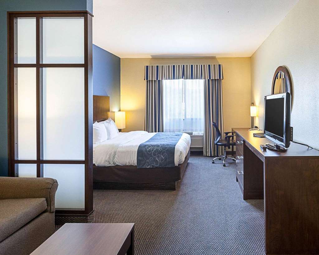 Hotel Comfort Airport North 3*