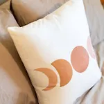 Cacti - Cactyou - Cactus