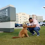 Staybridge Suites San Antonio Sea World By Ihg