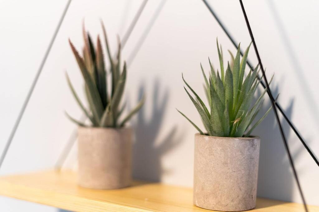 Holiday home Cacti - Cactyou - Cactus