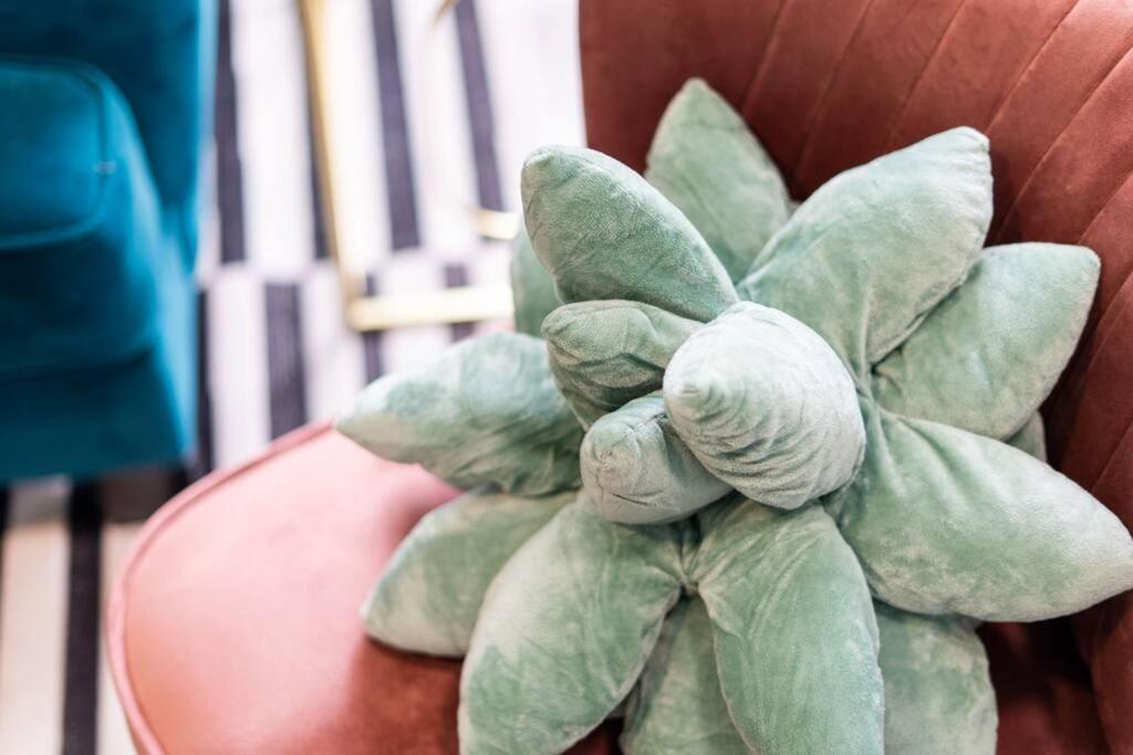 Cacti - Cactyou - Cactus Holiday home