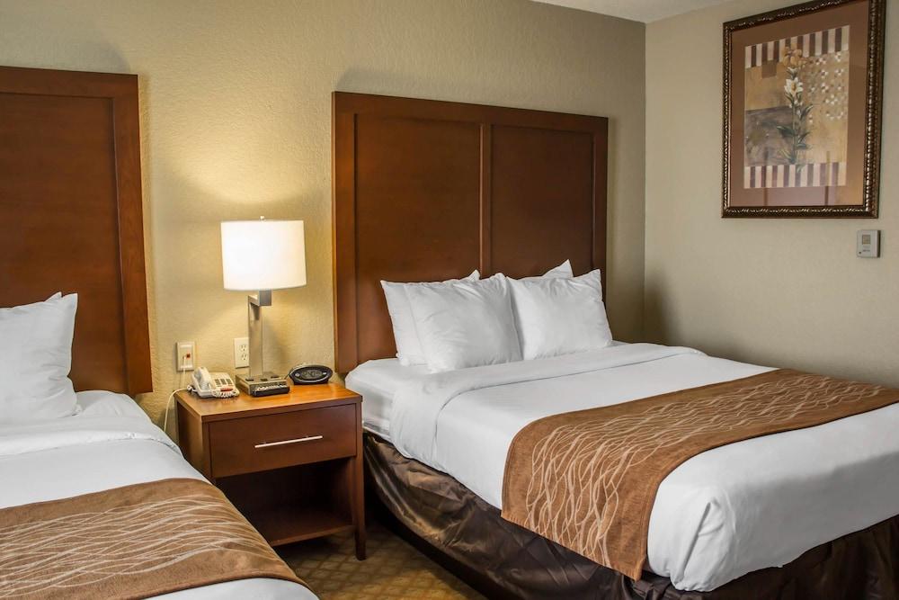 Comfort Near Seaworld Hotel