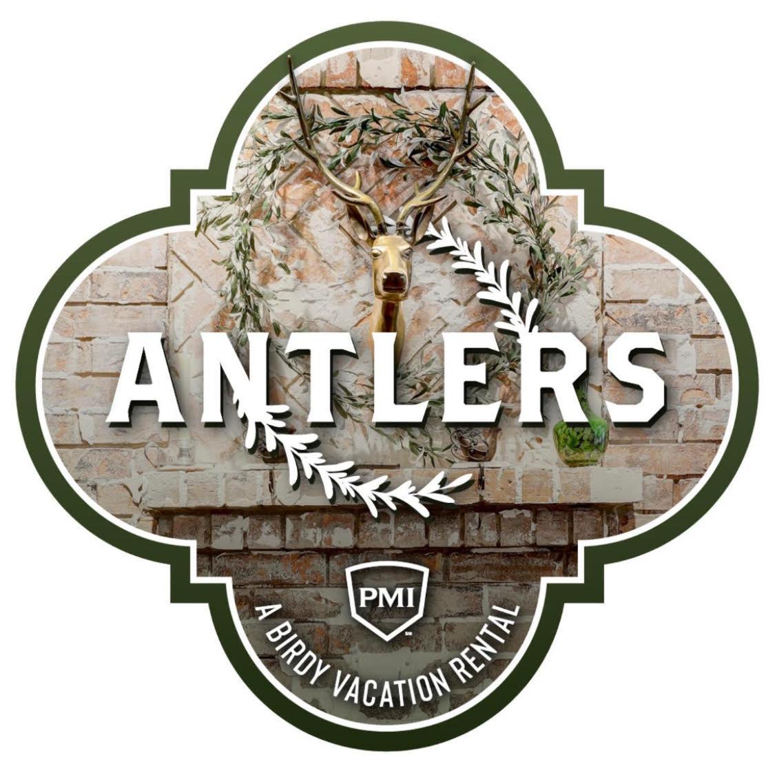 Antlers - A Birdy Vacation * San Antonio