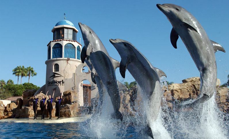 Northwest- Seaworld Area By Ihg